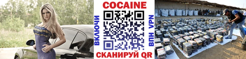 Кокаин Fish Scale  как найти закладки  ОМГ ОМГ как войти  Касли 